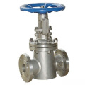 Cast Steel Jacket Gate Valve